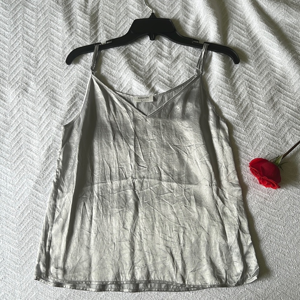 Aritza Babaton Silver Silky camisole top